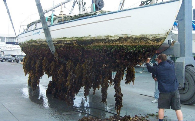 Anti-fouling zit er weer op.. bijna te water!