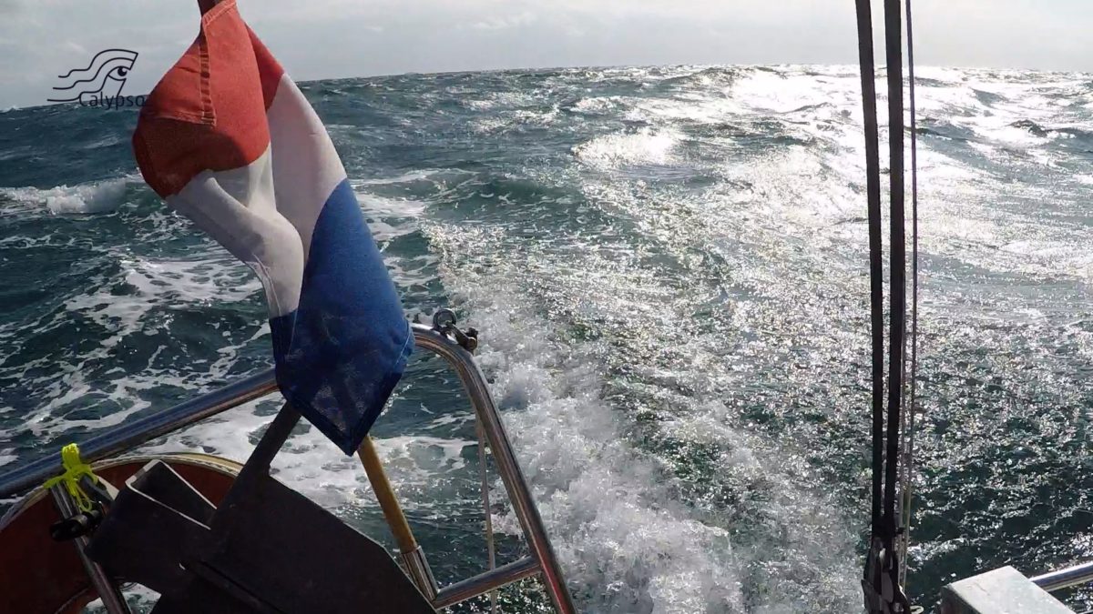 Calypso als de raggende mannen!