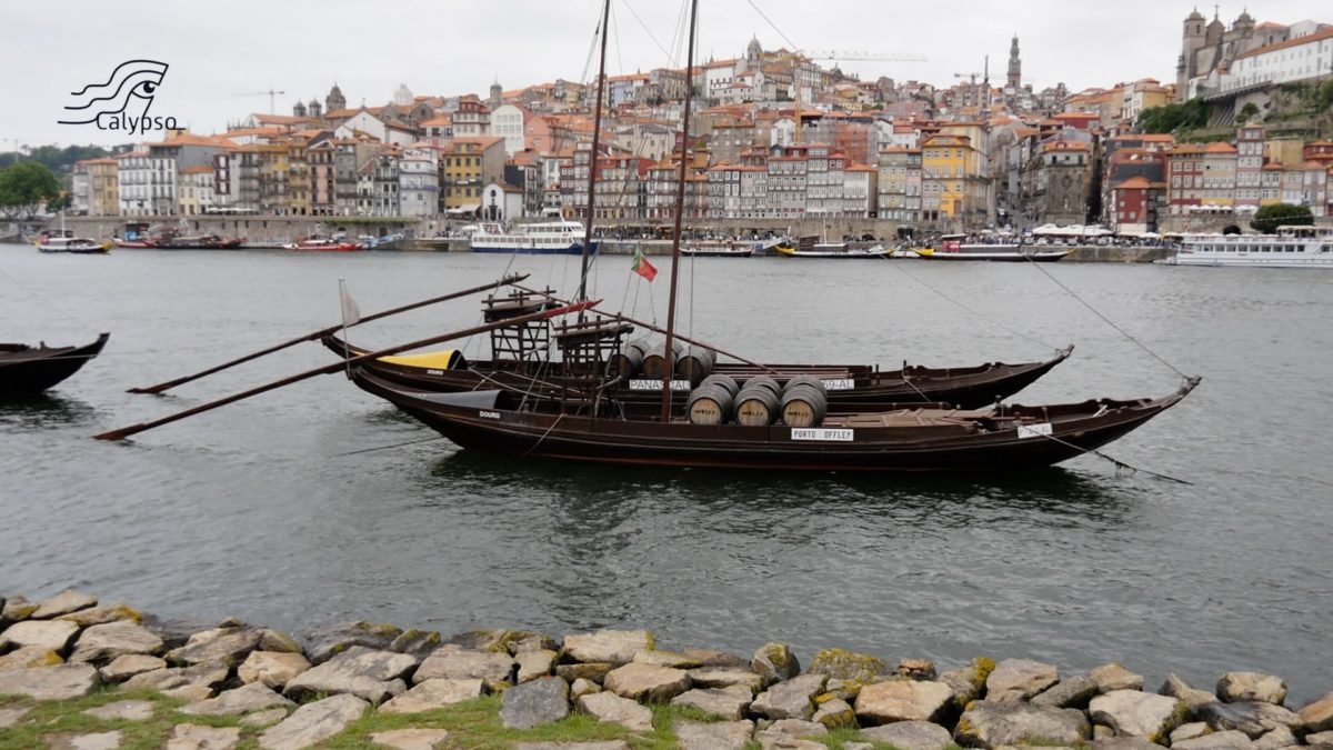 Calypso – Dag #15 De Porto queeste.. een verrassing!