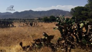 Cabo de Gata is een prachtig vulkanisch natuurpark