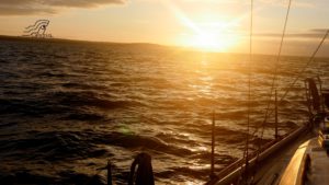 Bright light bij Brighton